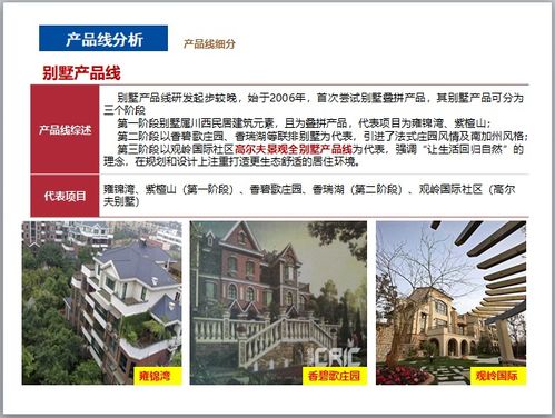 房地產(chǎn)公司系列產(chǎn)品線研究 構(gòu)建多元化與差異化的戰(zhàn)略布局